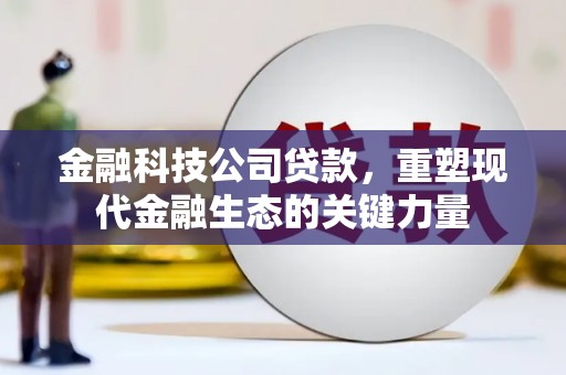 磐安金融科技公司贷款，重塑现代金融生态的关键力量