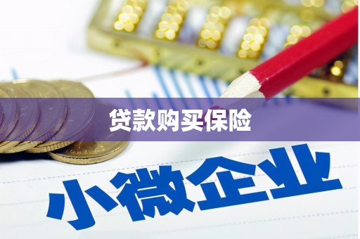 磐安贷款购买保险