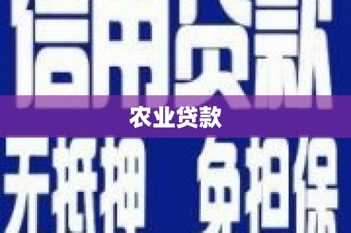 磐安农业贷款