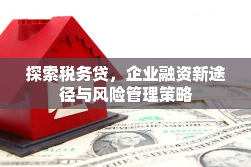 磐安探索税务贷，企业融资新途径与风险管理策略