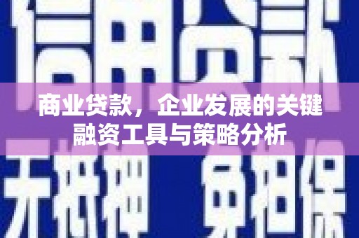磐安商业贷款，企业发展的关键融资工具与策略分析