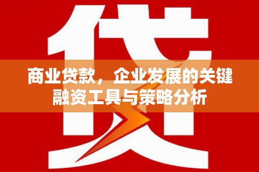 磐安商业贷款，企业发展的关键融资工具与策略分析