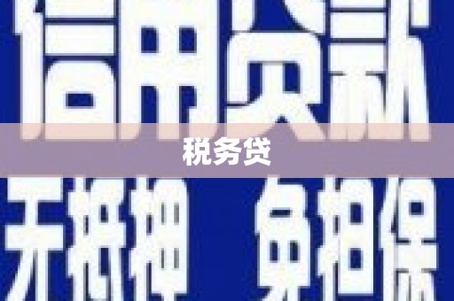 磐安税务贷