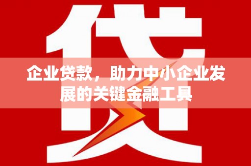 磐安企业贷款，助力中小企业发展的关键金融工具