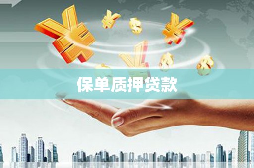 磐安保单质押贷款