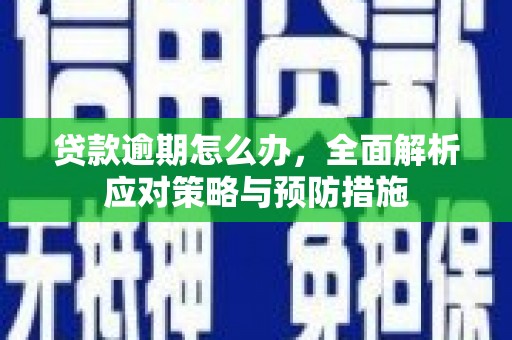 磐安贷款逾期怎么办，全面解析应对策略与预防措施
