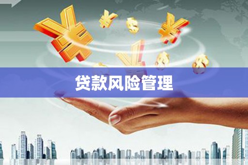 磐安贷款风险管理