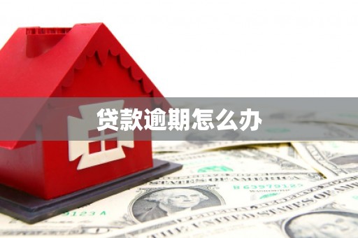 磐安贷款逾期怎么办