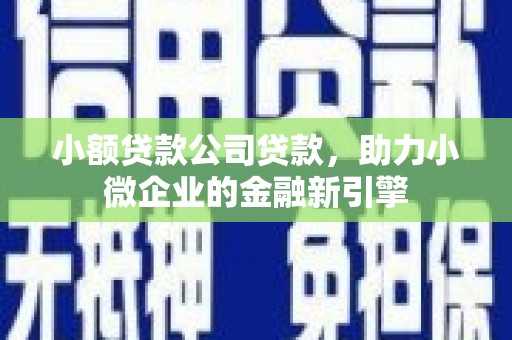 磐安小额贷款公司贷款，助力小微企业的金融新引擎