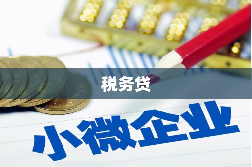 磐安税务贷