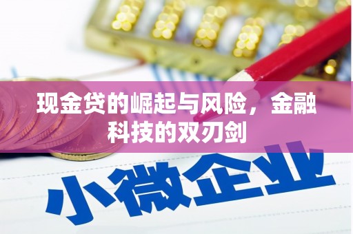 磐安现金贷的崛起与风险，金融科技的双刃剑