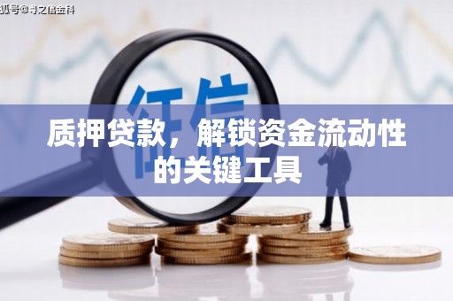 磐安质押贷款，解锁资金流动性的关键工具