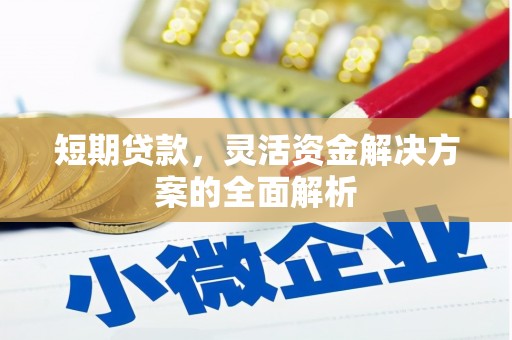 磐安短期贷款，灵活资金解决方案的全面解析