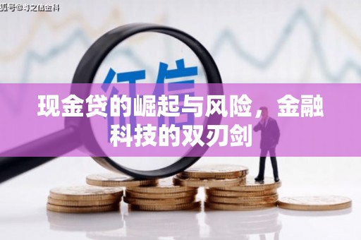 磐安现金贷的崛起与风险，金融科技的双刃剑