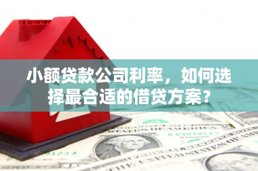 磐安小额贷款公司利率，如何选择最合适的借贷方案？