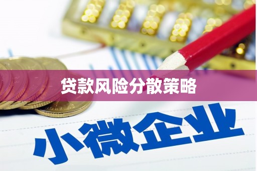 磐安贷款风险分散策略