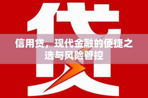 磐安信用贷，现代金融的便捷之选与风险管控