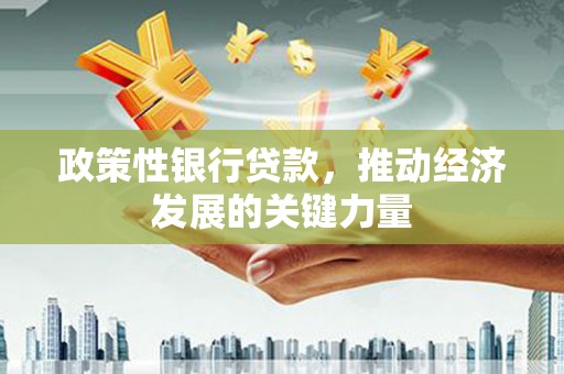 磐安政策性银行贷款，推动经济发展的关键力量