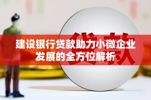磐安建设银行贷款助力小微企业发展的全方位解析