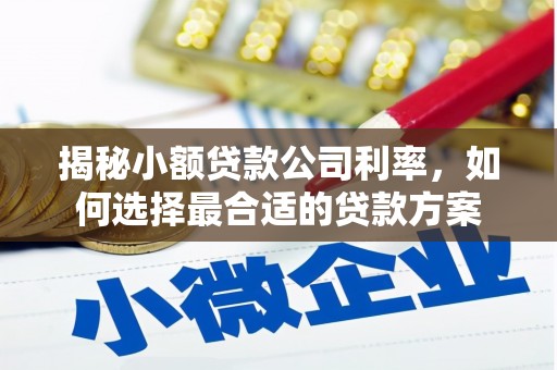 磐安揭秘小额贷款公司利率，如何选择最合适的贷款方案