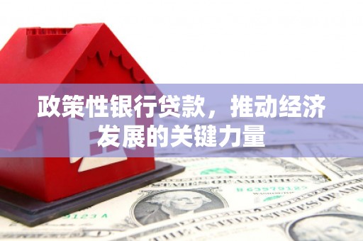 磐安政策性银行贷款，推动经济发展的关键力量