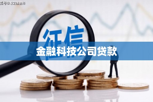 磐安金融科技公司贷款
