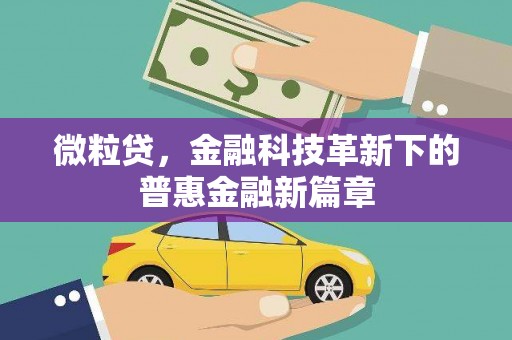 磐安微粒贷，金融科技革新下的普惠金融新篇章