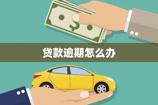 磐安贷款逾期怎么办