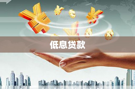 磐安低息贷款