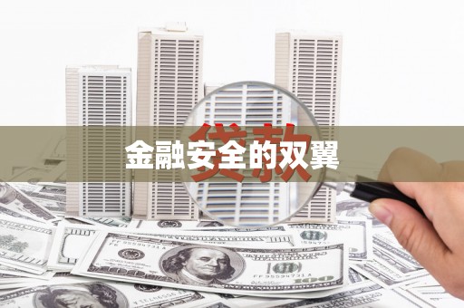 磐安金融安全的双翼