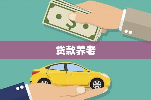 磐安贷款养老