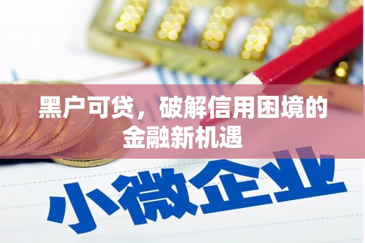 磐安黑户可贷，破解信用困境的金融新机遇