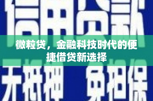 磐安微粒贷，金融科技时代的便捷借贷新选择