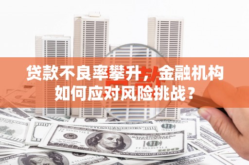 磐安贷款不良率攀升，金融机构如何应对风险挑战？