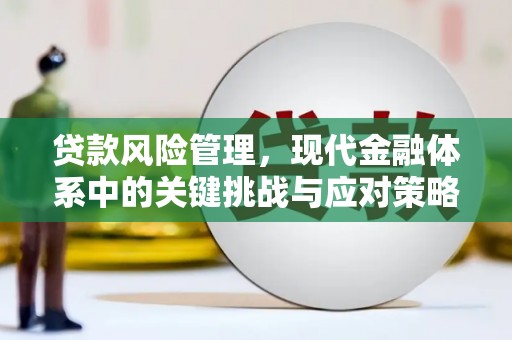 磐安贷款风险管理，现代金融体系中的关键挑战与应对策略