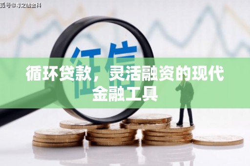 磐安循环贷款，灵活融资的现代金融工具
