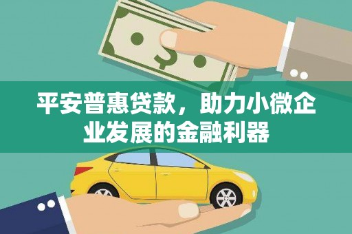 磐安平安普惠贷款，助力小微企业发展的金融利器