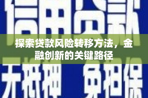 磐安探索贷款风险转移方法，金融创新的关键路径