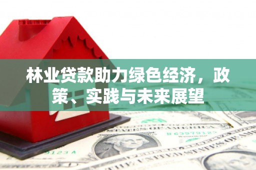 磐安林业贷款助力绿色经济，政策、实践与未来展望