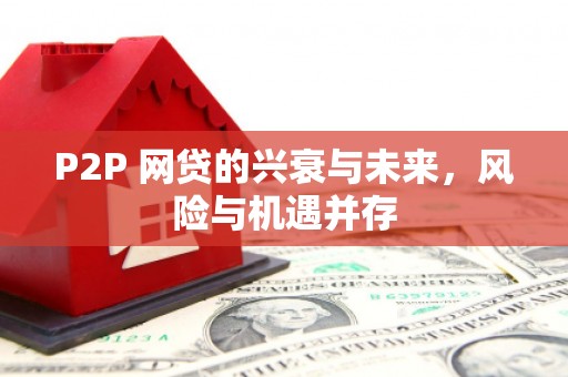磐安P2P 网贷的兴衰与未来，风险与机遇并存