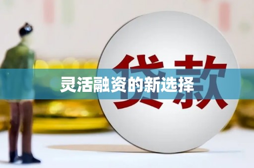 磐安灵活融资的新选择