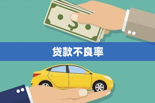 磐安贷款不良率