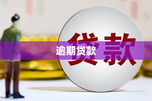 磐安逾期贷款