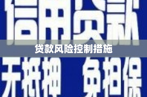 磐安贷款风险控制措施