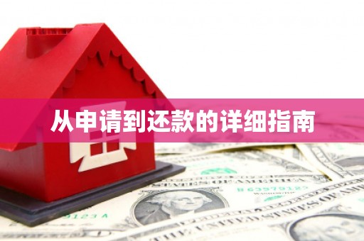磐安从申请到还款的详细指南