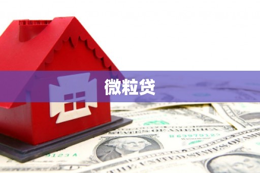 磐安微粒贷
