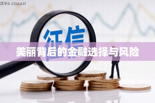 磐安美丽背后的金融选择与风险