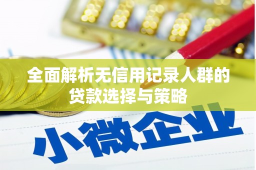 磐安全面解析无信用记录人群的贷款选择与策略