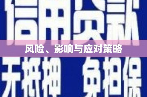 磐安风险、影响与应对策略