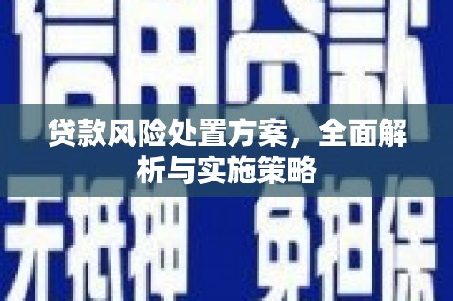 磐安贷款风险处置方案，全面解析与实施策略